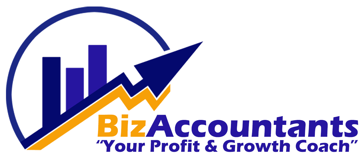 Biz Accountants logo png